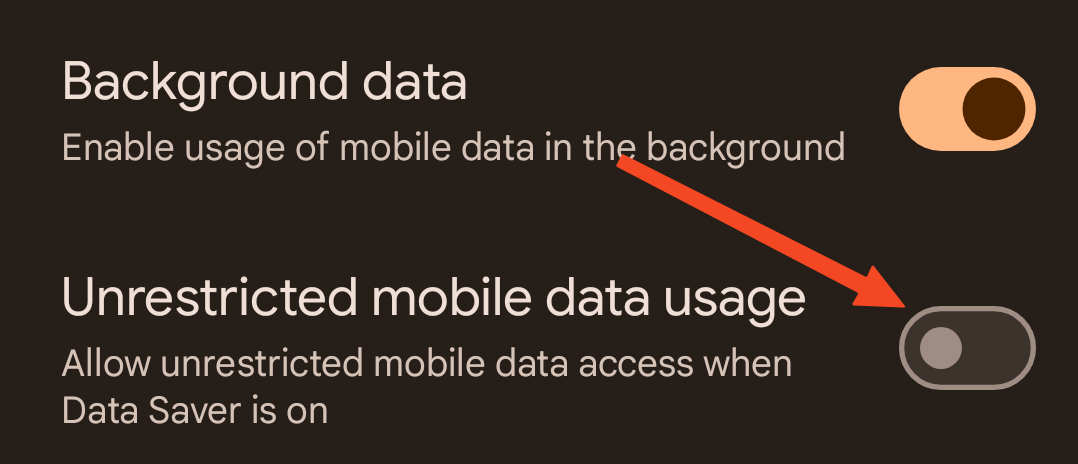 Terminal settings for cellular data usage