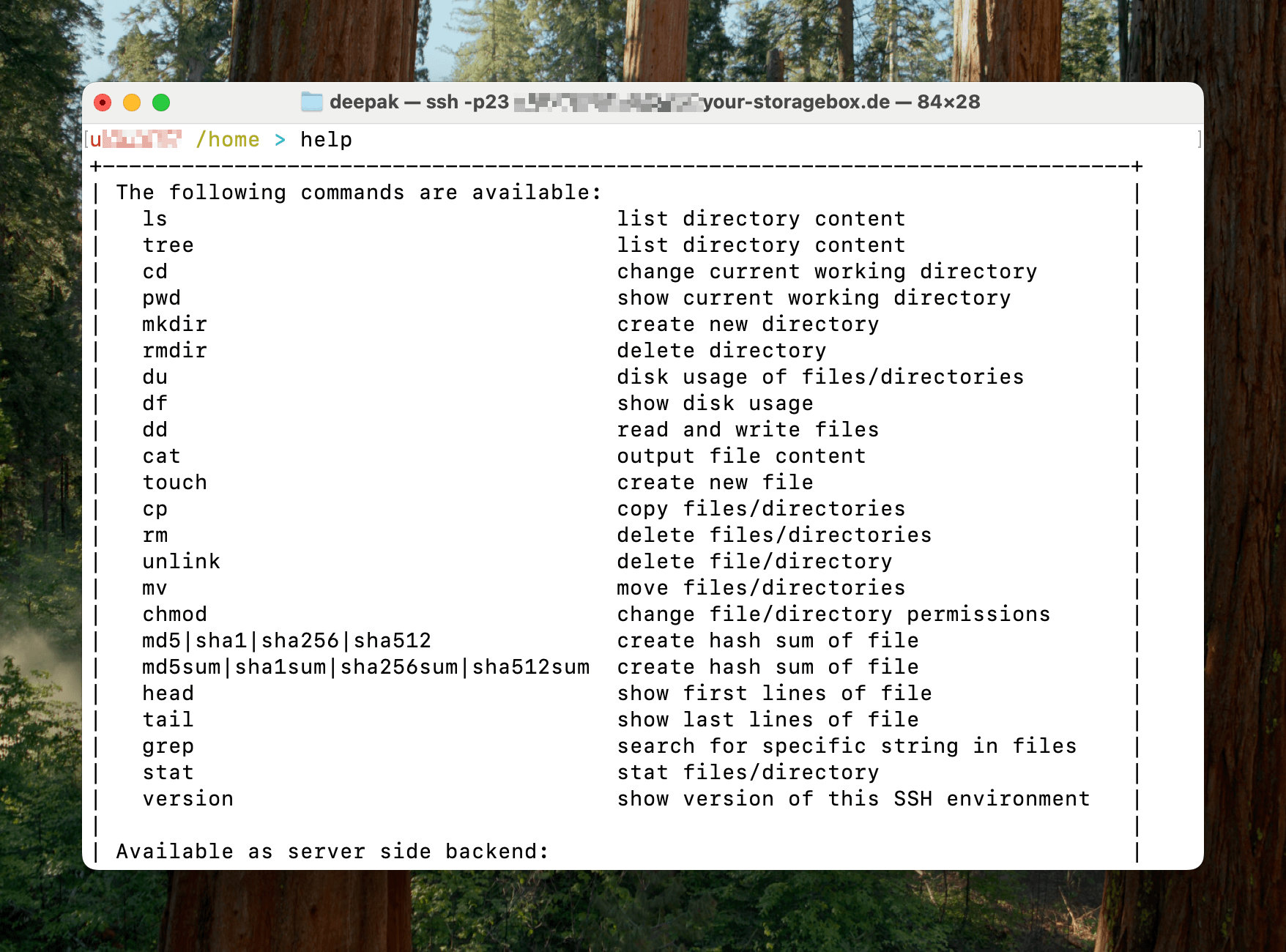 Terminal Hetzner Storage Box help Command