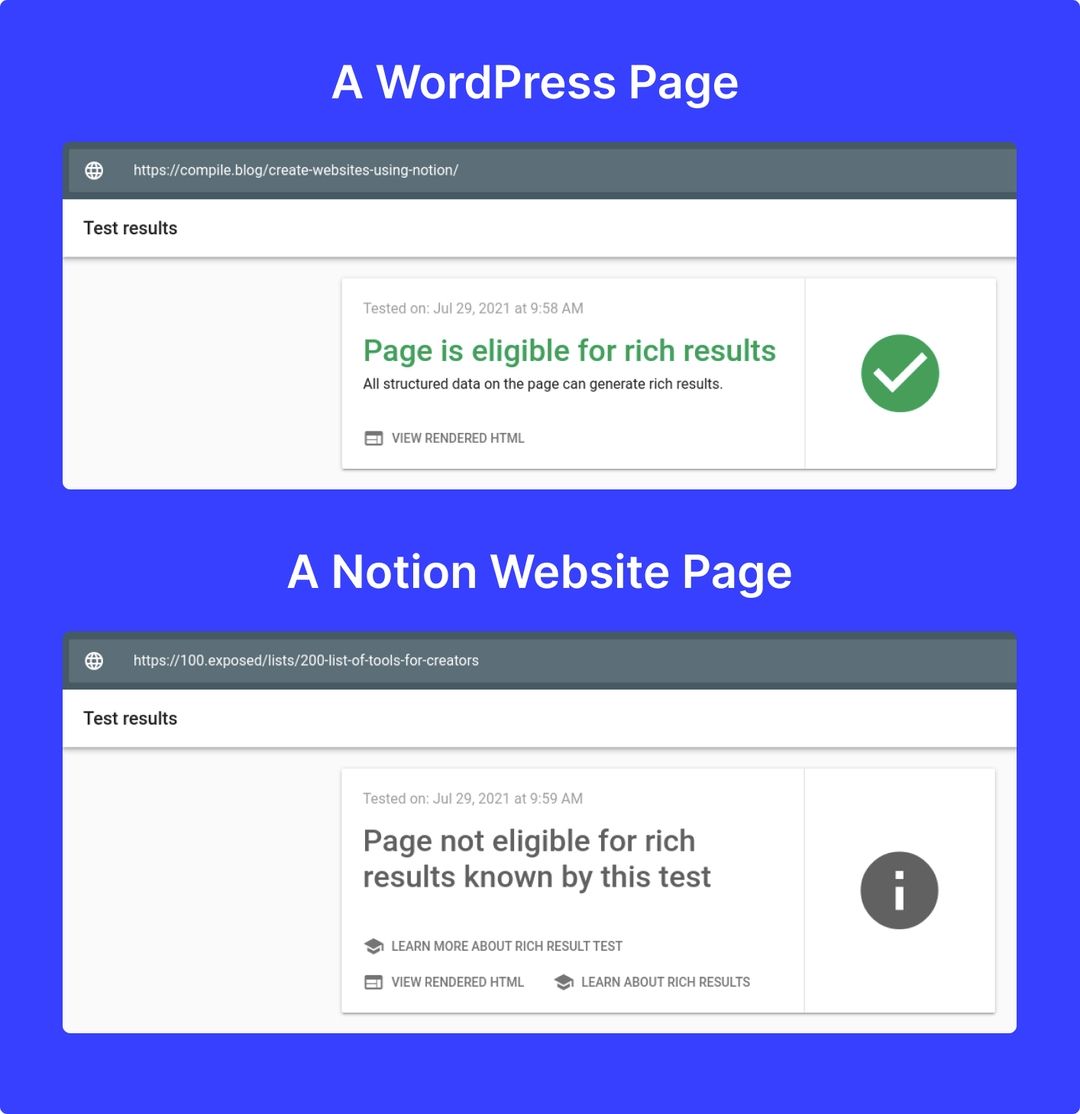 Notion Website Failed the Google Rich Test Result