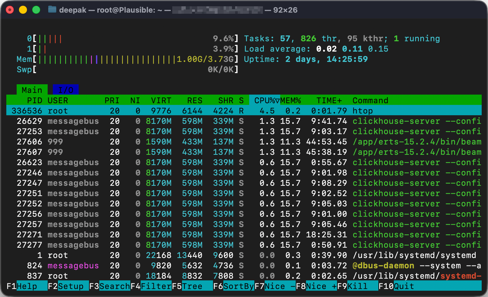 Plausible htop RAM usage